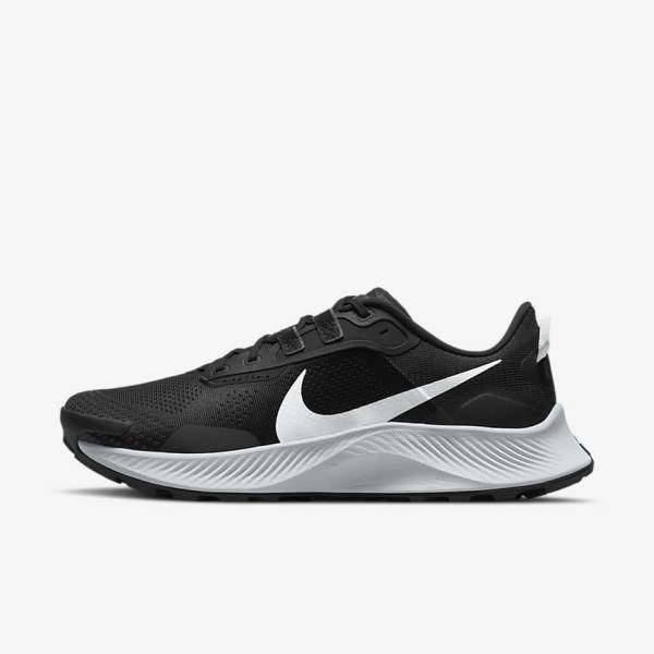 Nike Pegasus Trailove 3 Trailove Bežecké Tenisky Panske Čierne Tmavo Siva Platina | NK480BTZ