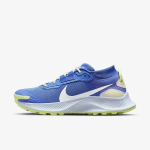 Nike Pegasus Trailove 3 GORE-TEX Nepremokave Trailove Bežecké Tenisky Damske Modre Hnede Siva | NK086XJD